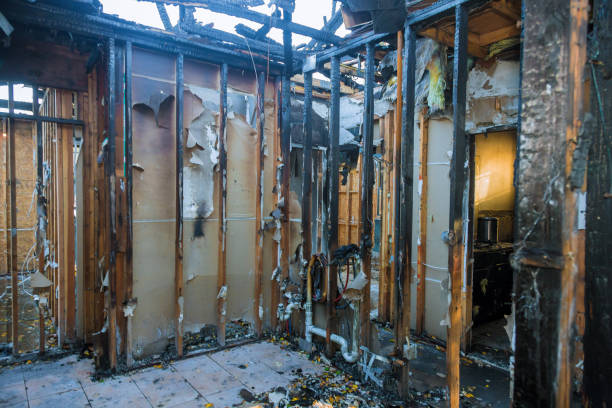 Professional Smoke Damage Restoration technician working in Damascus, MD